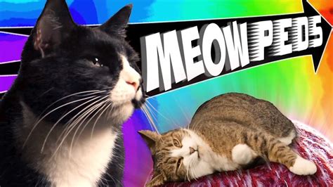 meowpad fun|Changelog .